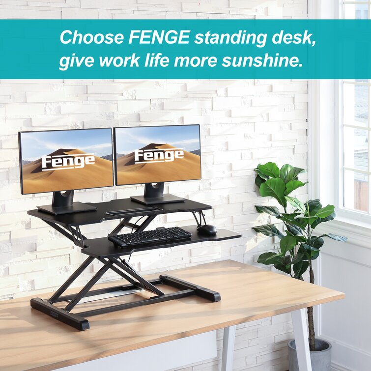 Frioa height store adjustable standing desk